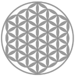 Renate_Schied_Allgemeinmedizin_Logo_transparent_schwarz Blume des Lebens - Logo von Dr. Renate Schied - Allgemeinärztin